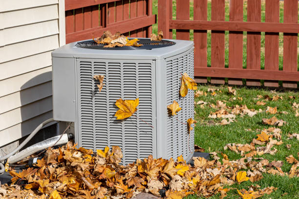 Best HVAC Air Duct Cleaning  in Tampa, FL